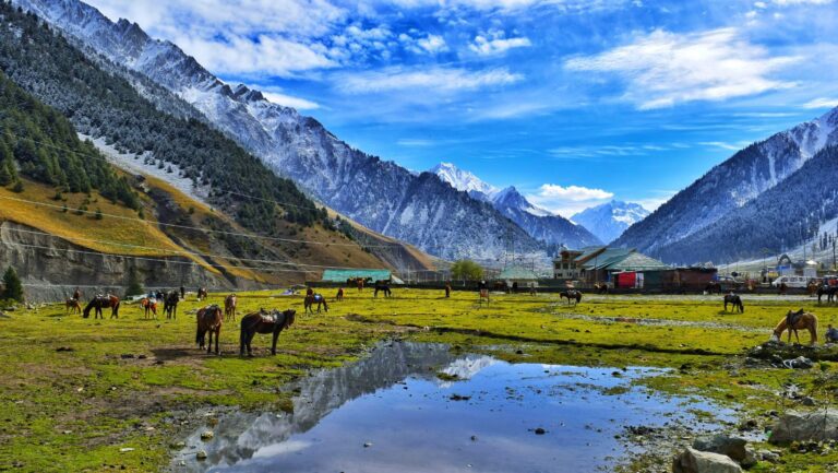 Puga Valley -Places to visit, Best time, Ladakh • NomadFreakes