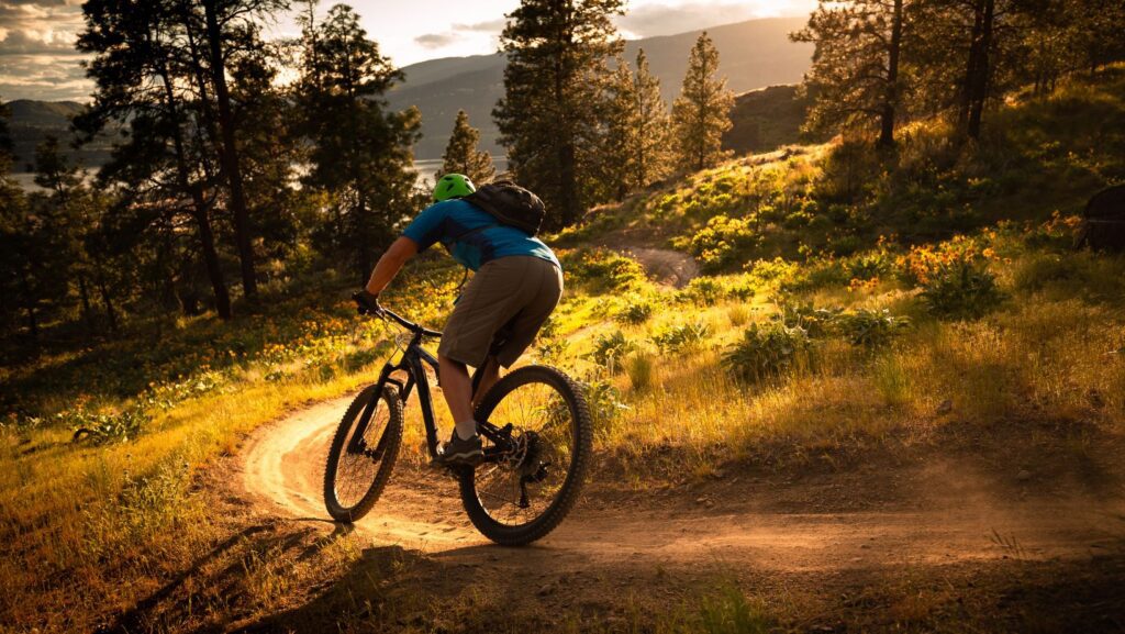 Mountain Biking in Himachal Pradesh