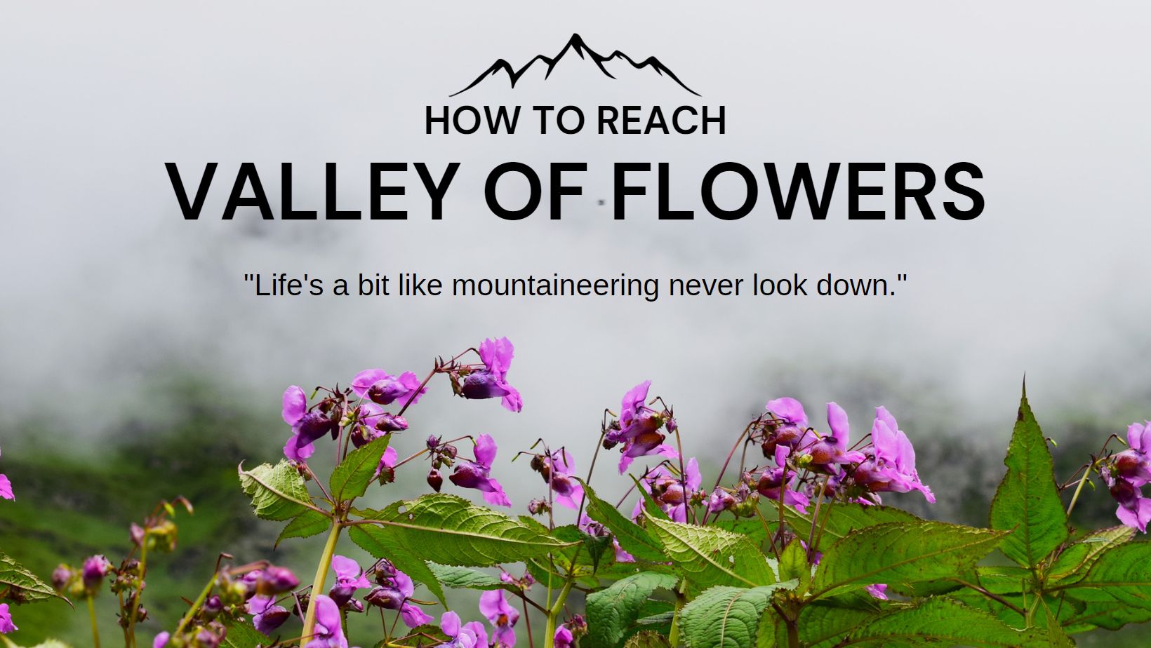 How to reach valley of flowers