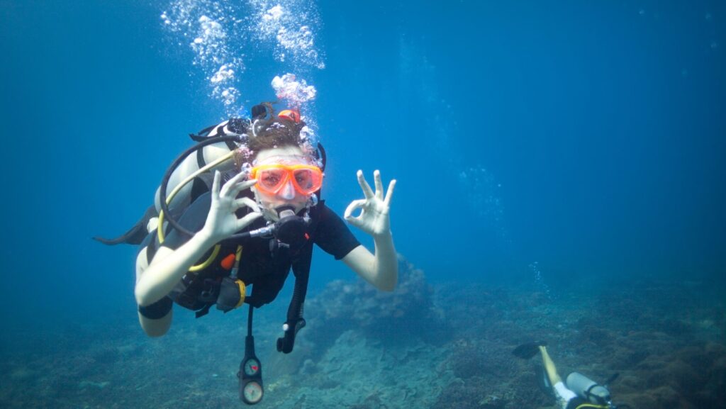 Scuba dive in Goa