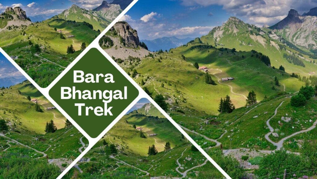 Best Treks in Himachal: Exploring the Majestic Himalayas