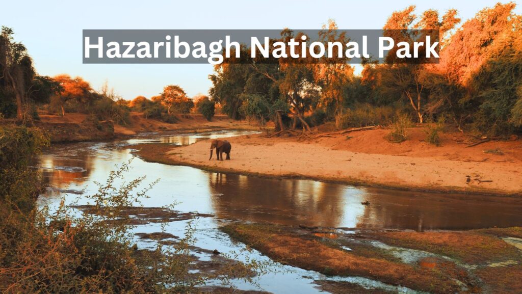 Hazaribagh National Park
